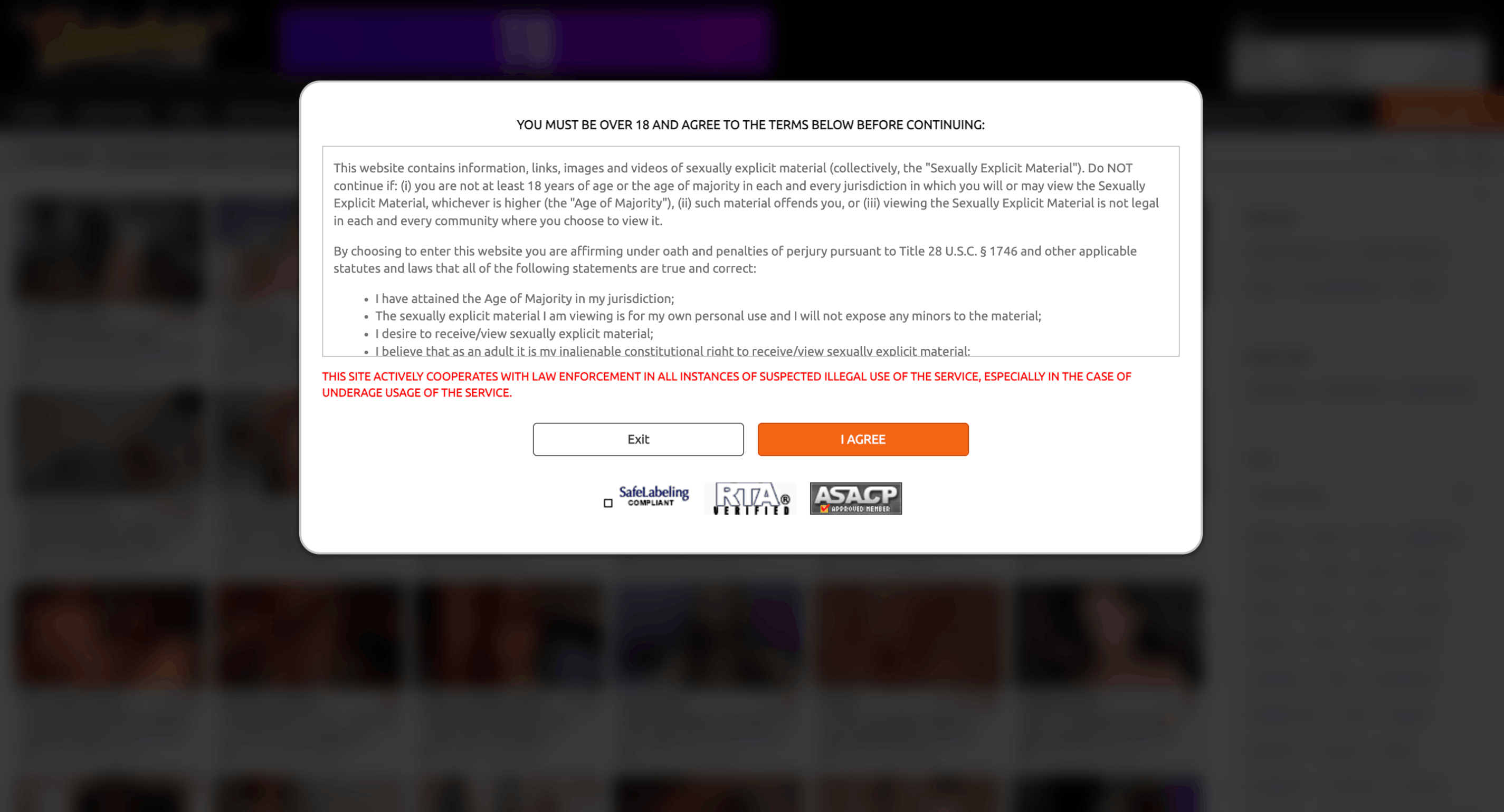 StripChat private session experience